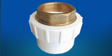 Female Thread Brass Coupling